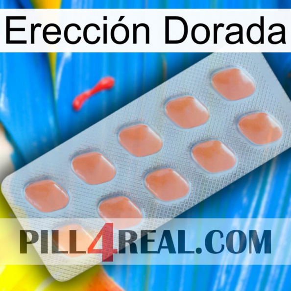 Erección Dorada 26.jpg